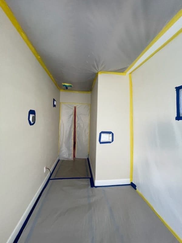 Mold Remediation